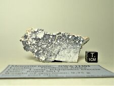 meteorite NWA 11303 Lunar, Moon feldspathic breccia, part slice 9,75 g picture