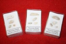 Ancient Thracian shell beads 1000 BC Greece, Aegean Sea in display case picture