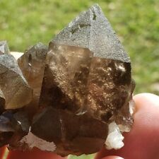 + Fine Natural Smokey quartz crystal cluster mini mineral specimen Gemmy Swiss  picture