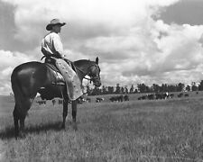 Cowboy Watching Over The Herd Vintage Photograph Western Life Montana 1940s 8x10 picture