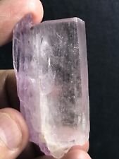 278 CTS OUTSTANDING NATURAL MATERIAL Bi-COLOR KUNZITE CRYSTAL FROM AFGHANISTAN picture