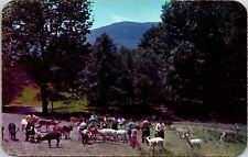 Catskill Game Farm Roland Lindermann New York NY Zoological Gardens Postcard UNP picture