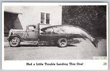 c1960s Exaggeration Fishing Trouble Landing This One Vintage Postcard picture