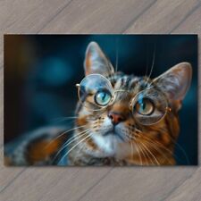 POSTCARD Cat with Glasses Fun Cute Colorful Kitty Unusual Animal Funny Sweet picture