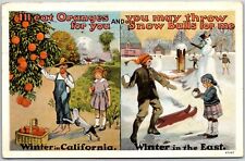 1927 Winter in California CA Orange Picking Ski on Winter Posted Postcard picture