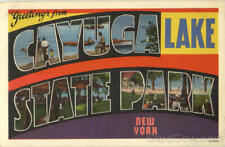 Seneca Falls,NY Greetings From Cayuga Lake State Park Large Letter New York picture