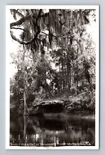 White Springs FL-Florida RPPC Shelf Rock, The Suwannee River Vintage Postcard picture
