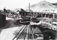 Denver & Rio Grande Western (D&RGW) Salida Roundhouse/Turntable in 1908 - 8x10 picture