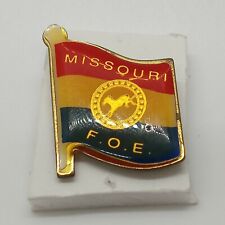 Vintage Collectible F.O.E.  Colorful Flag Metal Pinback Lapel Pin Hat Pin picture