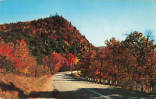 Bennington VT Vermont, Scenic Fall Foliage along Roadway, Vintage Postcard picture