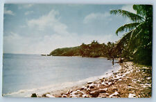 Guam Postcard Net Fisherman Marianas Islands Beach Scene c1950's Unposted picture