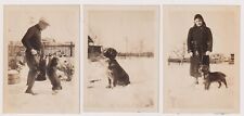 3 Photos c1930's Freckles the Spaniel Dog, Snow Scenes Cute picture