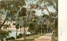 Florida, FL, Ormond, North Walk UDB pre-1907 Postcard picture