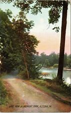C.1907 Altoona PA Lakemont Park Trail View Rotograph Pennsylvania Postcard 921 picture