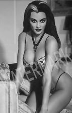 Sexy Lily Munster Portrait High Quality Metal Magnet 2.5 x 4 Fridge 9006 picture