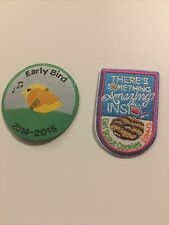 Girl Scout badges 2014-2015 Dated LOT OF 2 picture