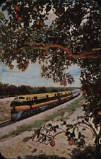 Railroad Locomotive The Silver Meteor Moss Photo Service Inc. Chrome Postcard picture