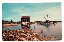 Wellfleet MA Gathering Shells Old Oyster House Cape Cod  Vintage Postcard picture
