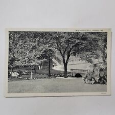 Big Spring Hill Newton County Missouri Neosho MO Vintage Postcard Stream Bridge picture