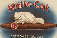 Antique Vintage 1900s - 1920s 😽 White Cat Gold Embossed Cigar Label picture