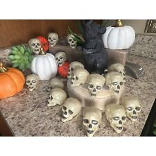 16 Pcs Mini Human Skulls Plastic Skeleton Skull Heads-Halloween Skull Only picture