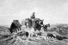 Going to Market,Mexico,Travel,Donkeys,Sheep,c1890,Peter Moran,Animals picture