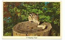 Greetings Cable WI Wisconsin Postcard Chipmunk picture