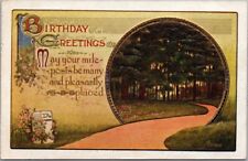 Vintage 1911 BIRTHDAY GREETINGS Embossed Postcard 
