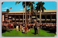 Postcard Rear View of Grandstand at Hialeah Race Course, Hialeah FL picture