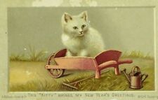1880's-90's New Year's Card Adorable White Fluffy Kitten Cat Wheelbarrow P94 picture