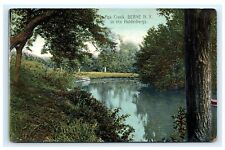 Fox Creek Berne NY Albany County Helderbergs Postcard E13 picture