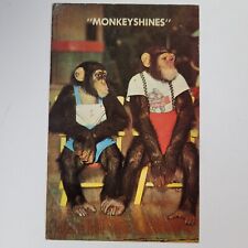 Vintage Postcard Florida FL Monkey Jungle Shines Old Card View Standard Souvenir picture