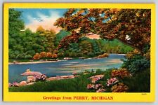 Perry, Michigan MI - Greetings - River Grass - Trees Nature - Vintage Postcard picture