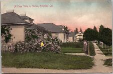 c1910s FULLERTON, California Hand-Colored Postcard Residential Street / Houses picture