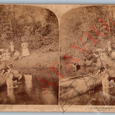 c1890s Comic Swimming Man & Dog Fishing Women Picnic Real Photo Stereoview V43 picture