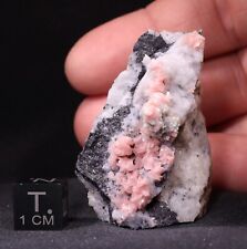 Rhodochrosite w/ Quartz on Matrix from Sunnyside Mine, Colorado picture