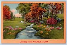 Fischer Texas TX Postcard Greetings River And Trees Scenic View c1940's Vintage picture