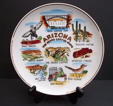 Vintage Large Arizona Souvenir Plate Rug Weaver More Handpainted Made in Japan  picture