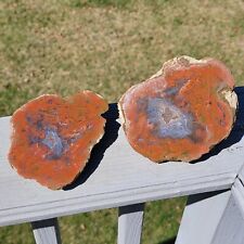Kentucky Agate Geode - Estill County - Pair - Add-on Eligible - Rock Rewards picture