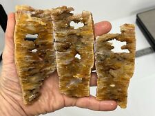 Amazing Plume Agate slabs Cabbing Lapidary Carving Chakra Reiki Oregon picture