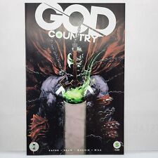 God Country #5 Cover C Variant Gerardo Zaffino Spawn Month Color Cover  picture