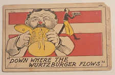 Postcard Down Where The Wurtzburger Flows Undivided Posted 1908 picture