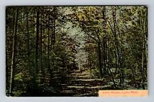 Lynn MA-Massachusetts, Scenic View Lynn Woods, Antique Vintage c1913 Postcard picture