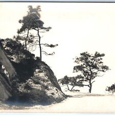 c1910s High-Altitude Cliff Road RPPC Majestic Trees Beautiful Photography A143 picture