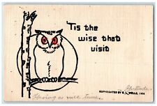 1907 Owl Tis The Wise That Visit South Bethlehem Pennsylvania PA Posted Postcard picture