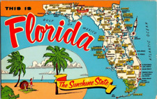 FL-Florida, General Large Letter Greeting, State Map, Antique Vintage Postcard picture