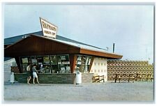 c1960 Exterior View Raymar Frosty Cup Ludington Michigan MI Avery Color Postcard picture