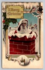 c1910 Santa Claus in Chimney Frost Birds  Christmas P206 picture