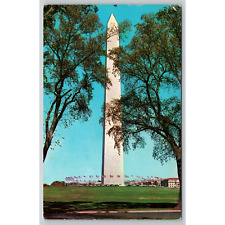 Postcard Washington D.C. The Washington Monument 11739 picture