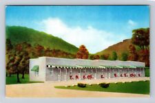 Independence VA-Virginia, Motel Blackrock Hiway 21, Advertising Vintage Postcard picture